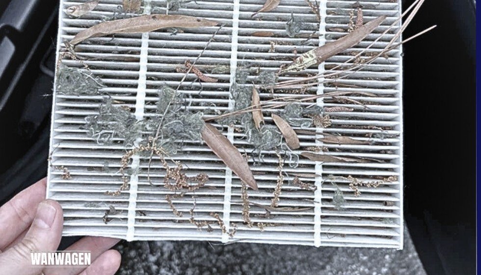 Innenraumfilter versagt Warnzeichen, Tipps, Wechsel - Wanwagen
